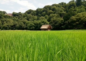 Kanazawa - Shirakawago - Takayama.jpg