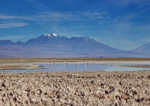 Deserto De Atacama - Lagune Miscanti E Miniques.jpg