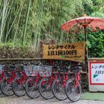 Biciclette accanto alla foresta di bambù