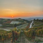 Le Langhe durante durante il foliage autunnale [Photo by Beatrice Zinetti on Unsplash]