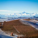 Le Langhe d'inverno [Photo by Mario La Pergola on Unsplash]