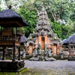 Ubud [Photo by Max Kukurudziak on Unsplash]