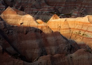 Custer - Badlands National Park (160 Km).jpg