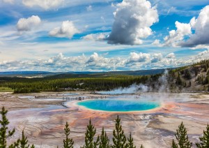 Cody - Yellowstone Np (120 Km).jpg