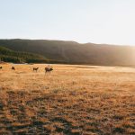 Valley [Foto di Kelly Repreza su Unsplash]