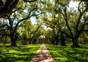 New Orleans: Tour Oak Plantation.jpg