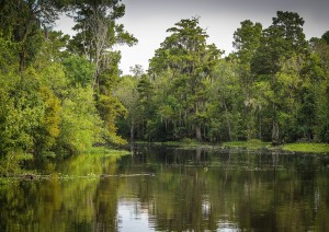 New Orleans: In Airboat Sulle Paludi.jpg