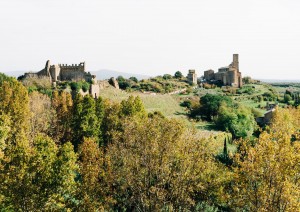 Tuscania.jpg