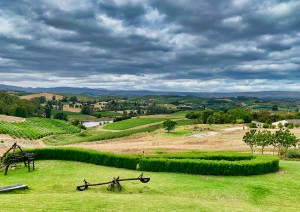 Città Del Capo - Winelands.jpg