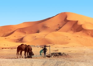 Fes – Ifrane – Merzouga, La Porta Del Sahara .jpg