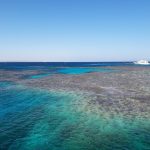 Barriera corallina nel Mar Rosso