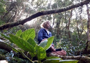 Tenerife: La Foresta Dei Lauri.jpg