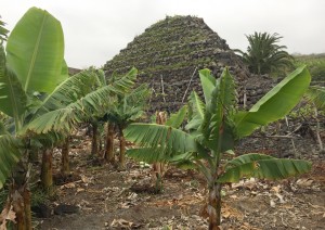 Tenerife: Le Nascoste Piramidi Del Nord.jpg