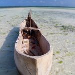 Dhow, imbarcazione tipica, in via di costruzione [foto di Anna Zanellato]