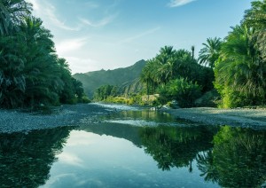 Muscat - Fabbrica Di Profumi - Wadi Bani Khalid - Wahiba Sands.jpg