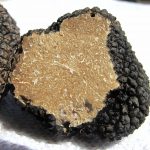 Tartufo [Foto di WikiImages da Pixabay]