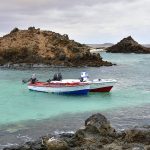 Escursione all'isola di Lobos