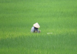 Hanoi - Mai Chau.jpg