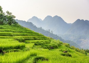 Mai Chau - Pu Luong.jpg