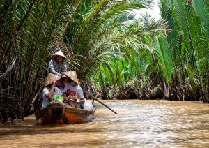 Delta Del Mekong.jpg