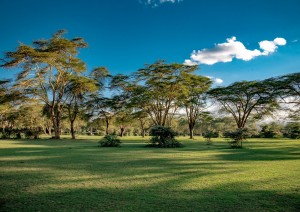 Masai Mara - Lake Naivasha (240 Km).jpg