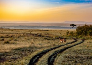 Lake Naivasha - Nairobi - Parco Amboseli (340 Km).jpg