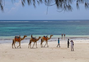 Diani Beach - Mombasa (volo) Italia.jpg