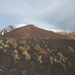 Crateri silvestri sull'Etna [foto di Barbara Guastella]