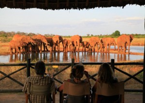 Tsavo East - Watamu.jpg