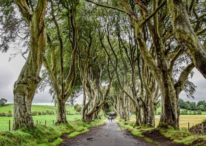 Escursione In Irlanda Del Nord.jpg