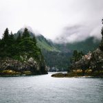 Kenai National Park [Foto di Daniel Tong su Unsplash]