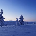 Paesaggio innevato