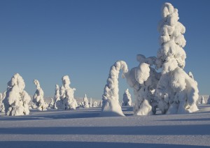 Saariselkä - Ivalo (volo) Italia.jpg