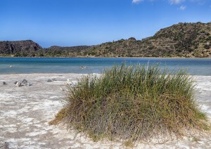 Le Terme Naturali.jpg