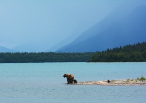 La Costa Orientale Di Vancouver Island.jpg