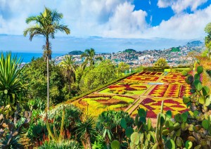 Alla Scoperta Di Funchal .jpg