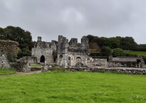 Dublino - Mellifont Abbey - Monasterboice - Downpatrick - Belfast.jpg