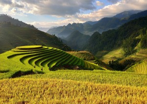 Ta Van - Dzang Ta Chai - Hanoi.jpg