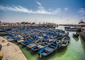 Escursione A Essaouira.jpg