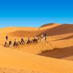 Cammellata nel deserto [Foto di Michał da Pixabay]