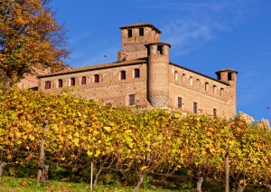 Arrivo A Barolo.jpg