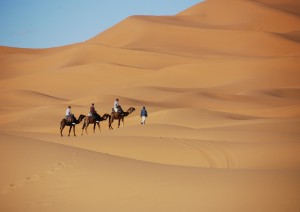 Fez - Deserto.jpg