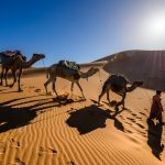 Deserto di Merzouga [Foto di Sergey Pesterev su Unsplash]