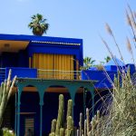 Giardini Majorelle a Marrakech  [Foto di Katya Shkiper su Unsplash]