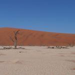 I colori di Dead Vlei [foto di Valeria Salvai]