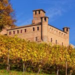 Castello di Barolo