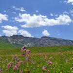 Alpe di Siusi