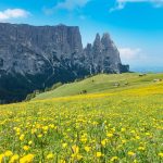 Alpe di Siusi