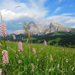 Alpe di Siusi