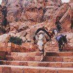 La salita verso il "Monastero" a Petra [Foto di Alex Vasey su Unsplash]